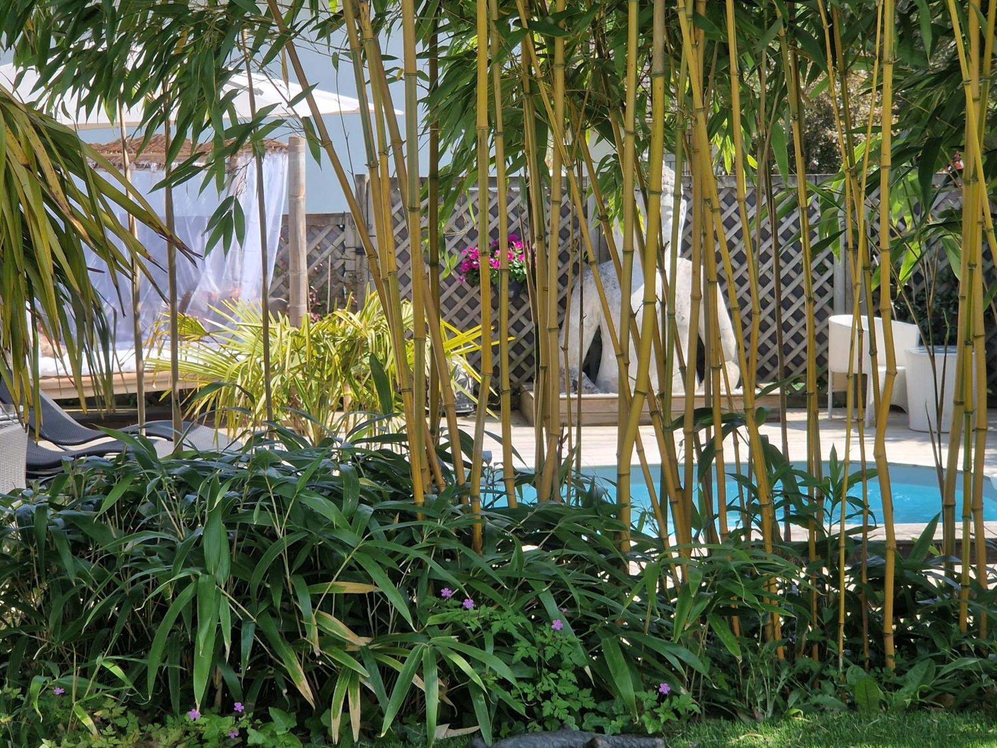 La Serenite Balinaise, Chambre Et Sdb Privee, Jardin , Piscine Et Jacuzzi En Saison, Pres De Chantilly, Parc Asterix Et Cdg Et Paris En 20' 오리라빌 외부 사진